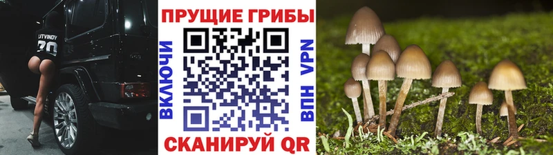 Псилоцибиновые грибы мухоморы  Купить где  Когалым 